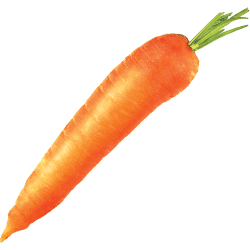 Carrot