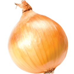 Onion