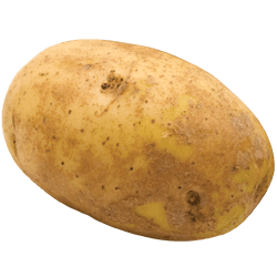 Potato